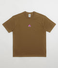 Nike ACG Lungs T-Shirt in Mosswood Brown