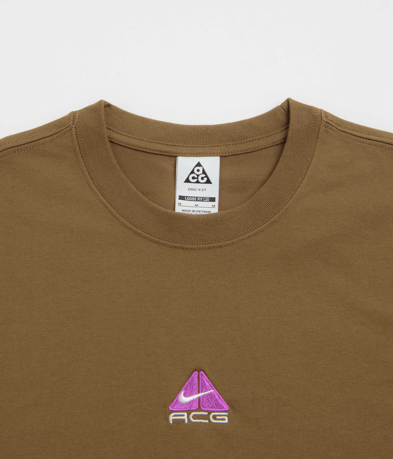 Nike ACG Lungs T-Shirt in Mosswood Brown
