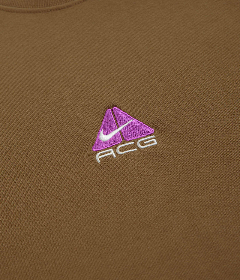 Nike ACG Lungs T-Shirt in Mosswood Brown