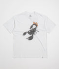 Nike ACG Scorpion T-Shirt in Summit White