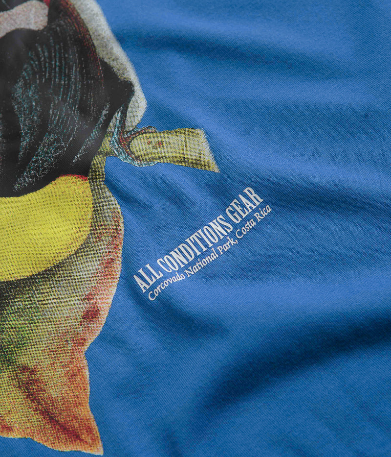 Nike ACG Toucan T-Shirt in Game Royal