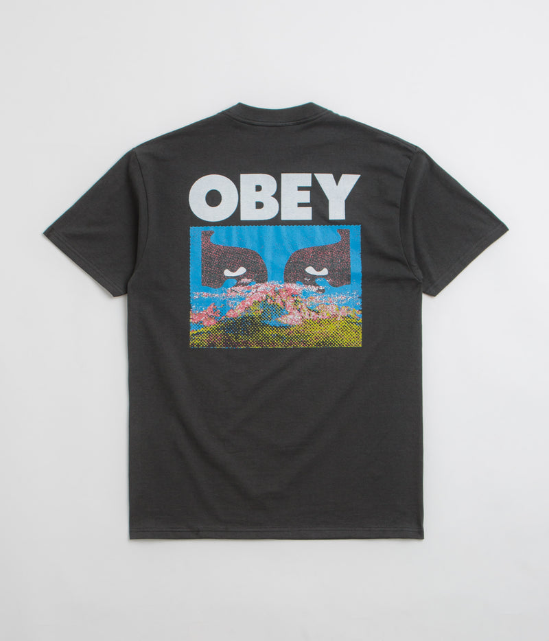 Obey In A Different Place T-Shirt in Vintage Black
