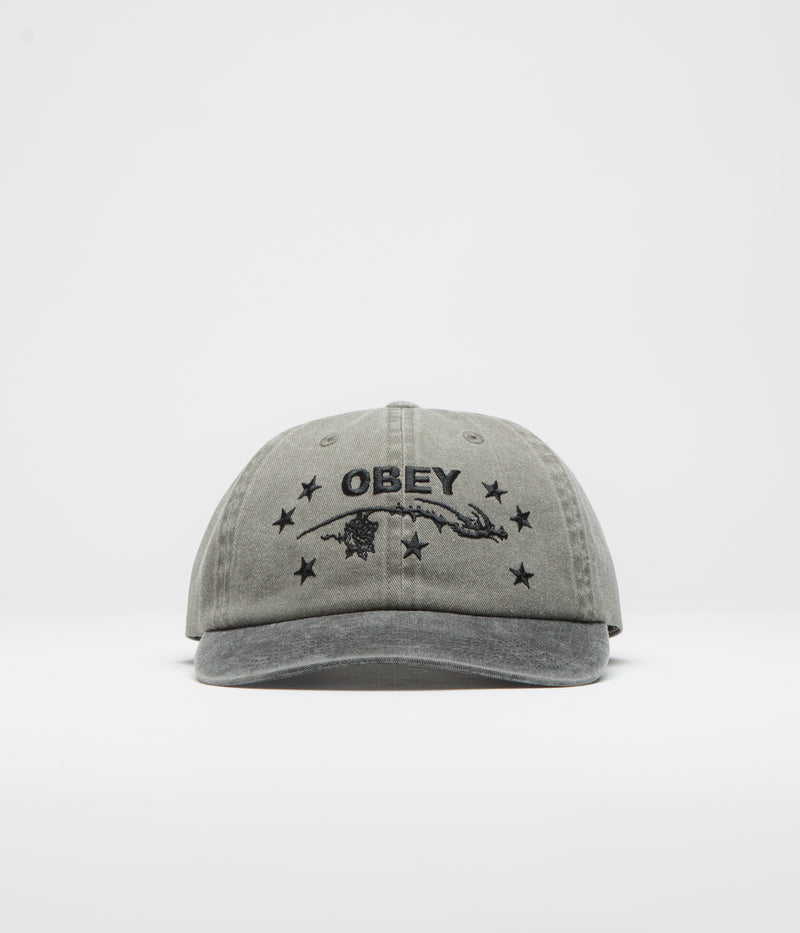Obey Penn Pigment Cap in Pigment Olive Multi
