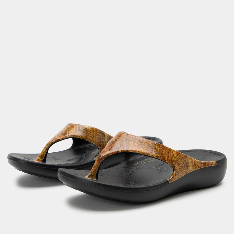 Ode Charmed Sandal | Alegria Shoes