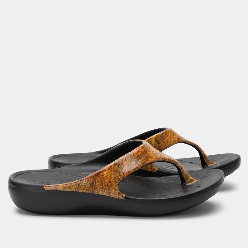 Ode Charmed Sandal | Alegria Shoes