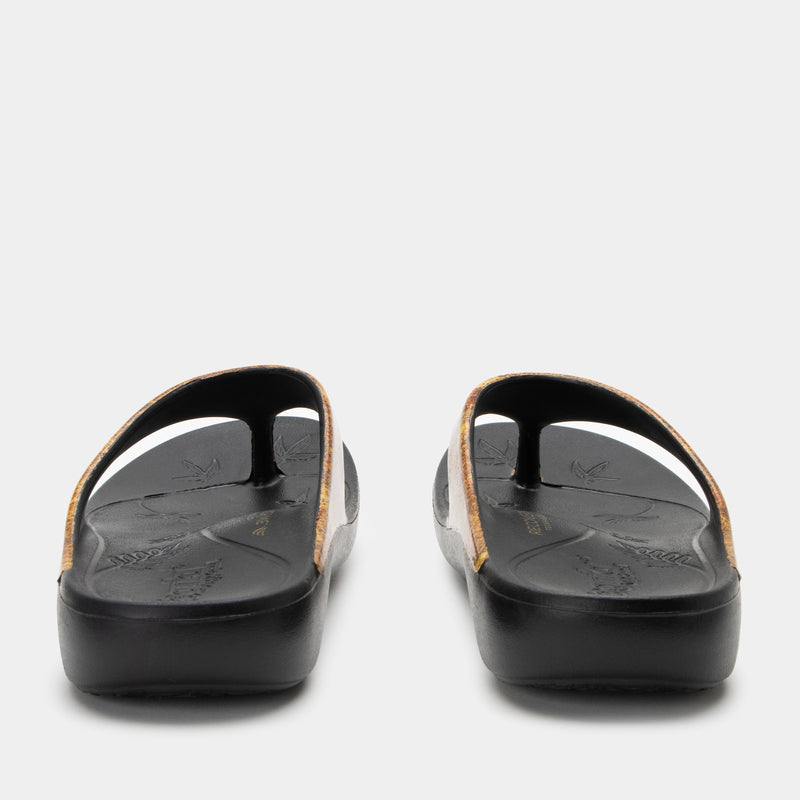 Ode Charmed Sandal | Alegria Shoes