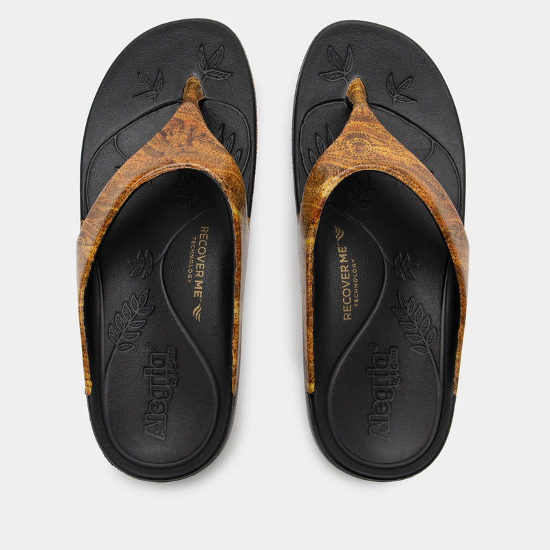 Ode Charmed Sandal | Alegria Shoes