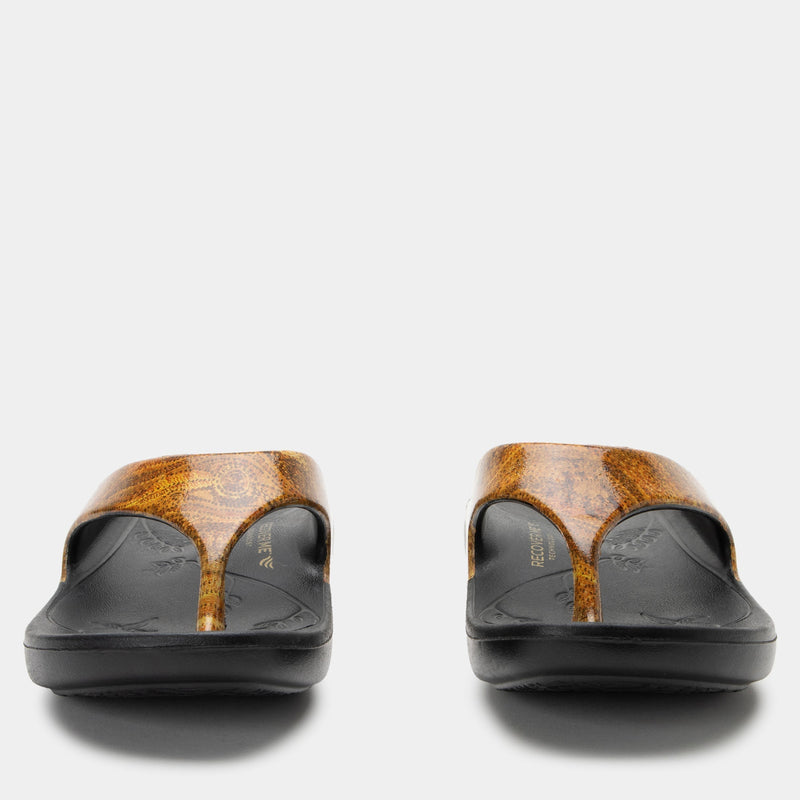 Ode Charmed Sandal | Alegria Shoes