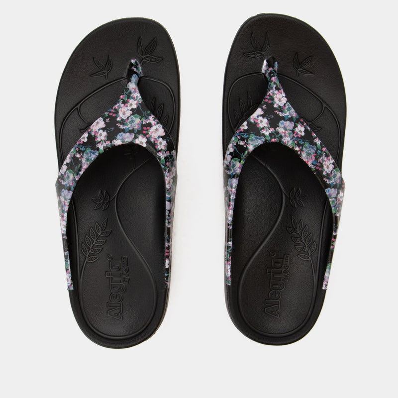 Ode Decorum Sandal | Alegria Shoes
