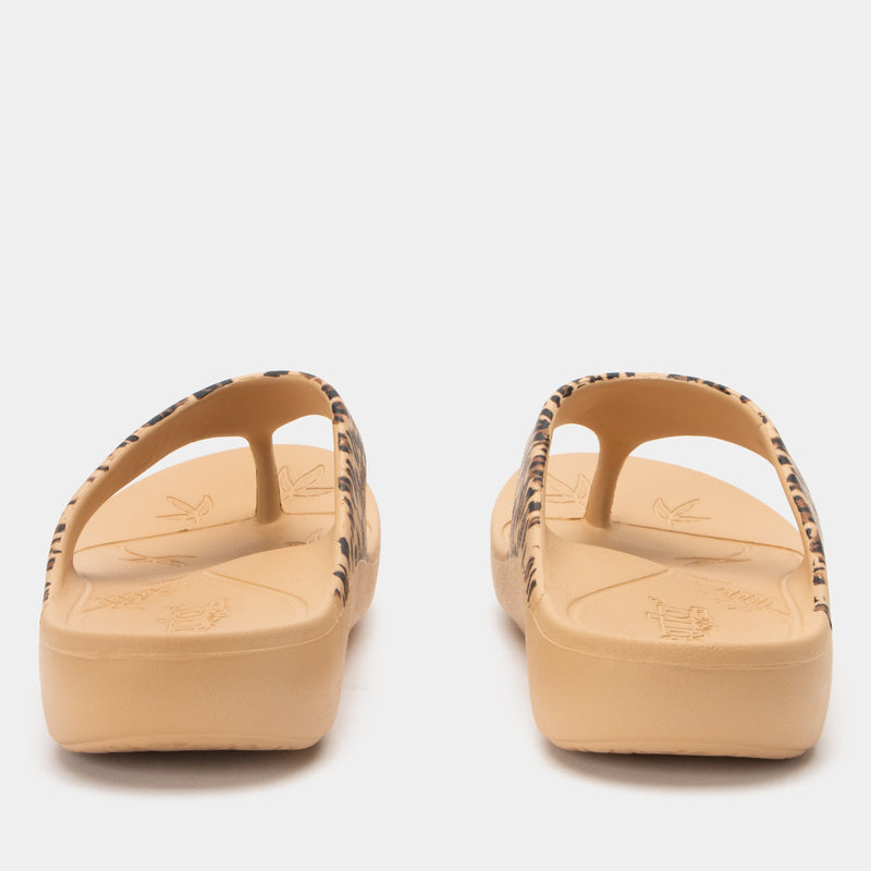 Ode Fierce Sandal | Alegria Shoes