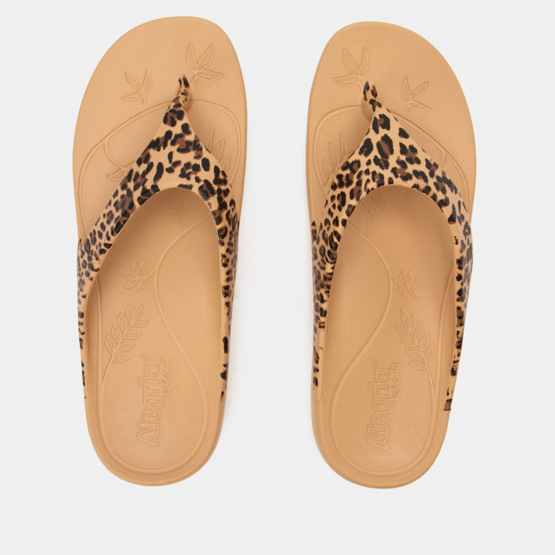 Ode Fierce Sandal | Alegria Shoes