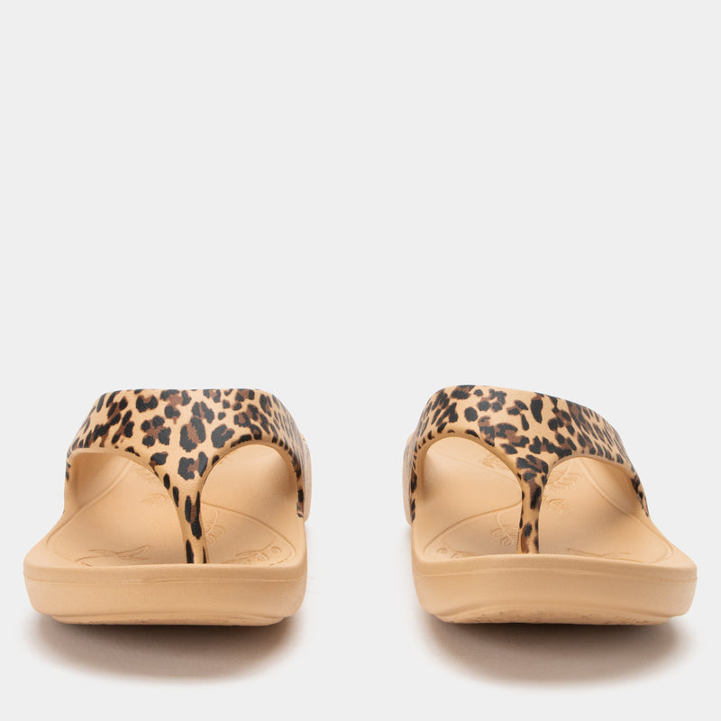 Ode Fierce Sandal | Alegria Shoes