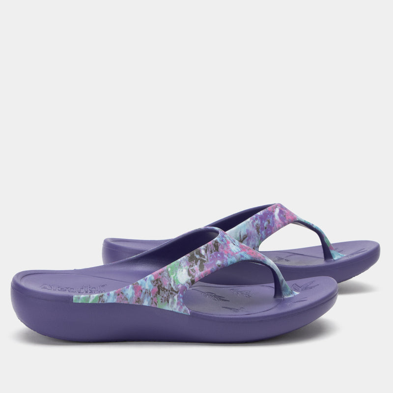 Ode Itchycoo Grey Sandal | Alegria Shoes