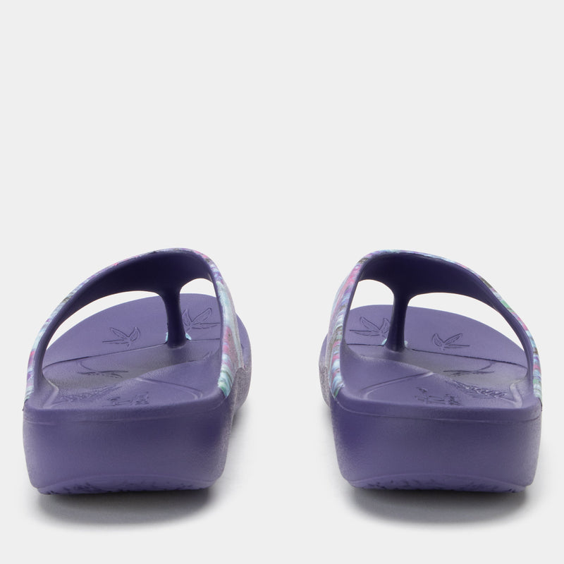 Ode Itchycoo Grey Sandal | Alegria Shoes