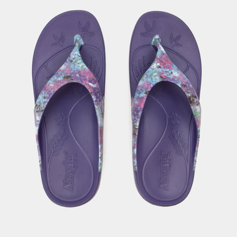 Ode Itchycoo Grey Sandal | Alegria Shoes