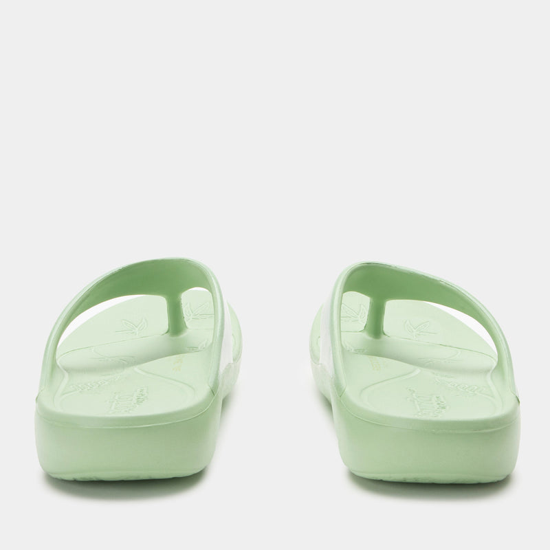 Ode Mint Gloss Sandal | Alegria Shoes