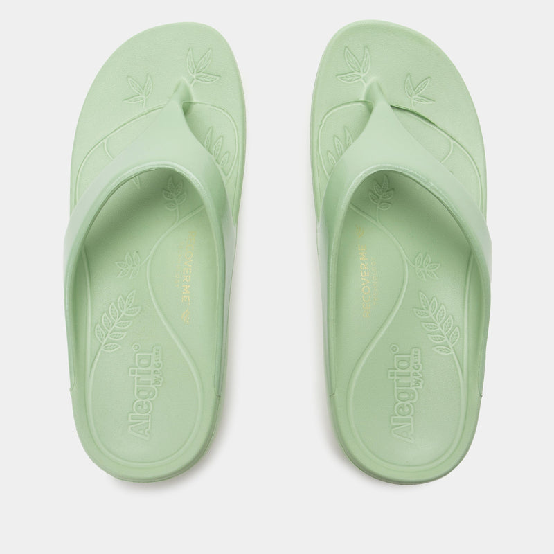 Ode Mint Gloss Sandal | Alegria Shoes
