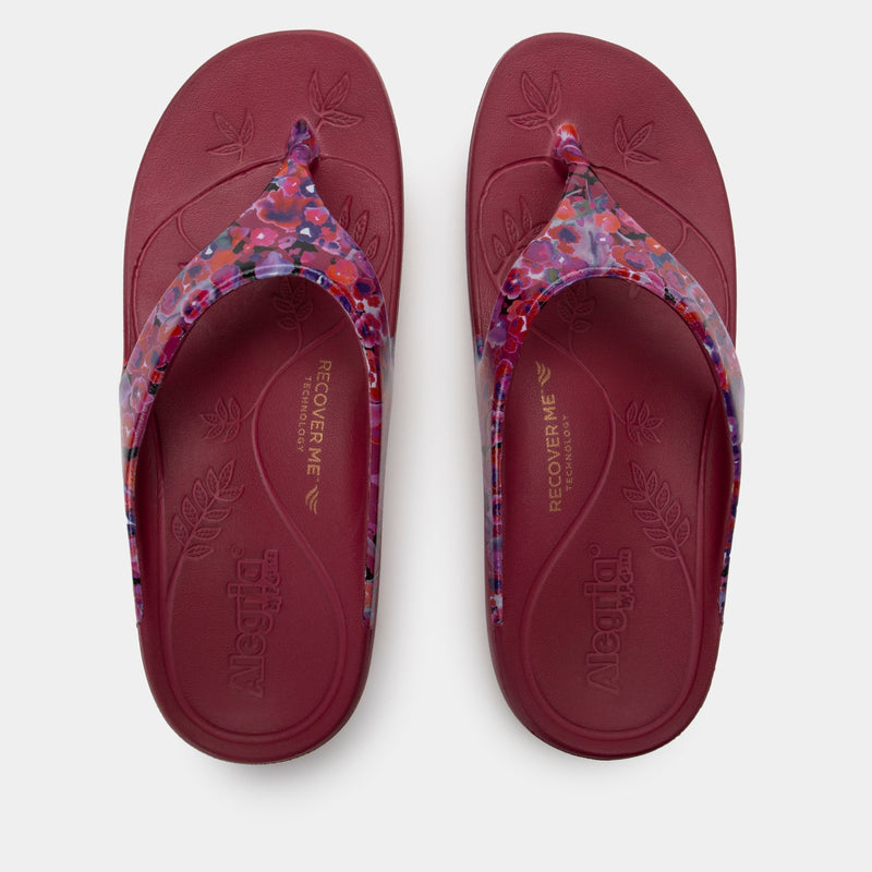 Ode Poppy Pop Sandal | Alegria Shoes