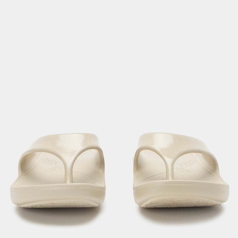 Ode Sand Gloss Sandal | Alegria Shoes