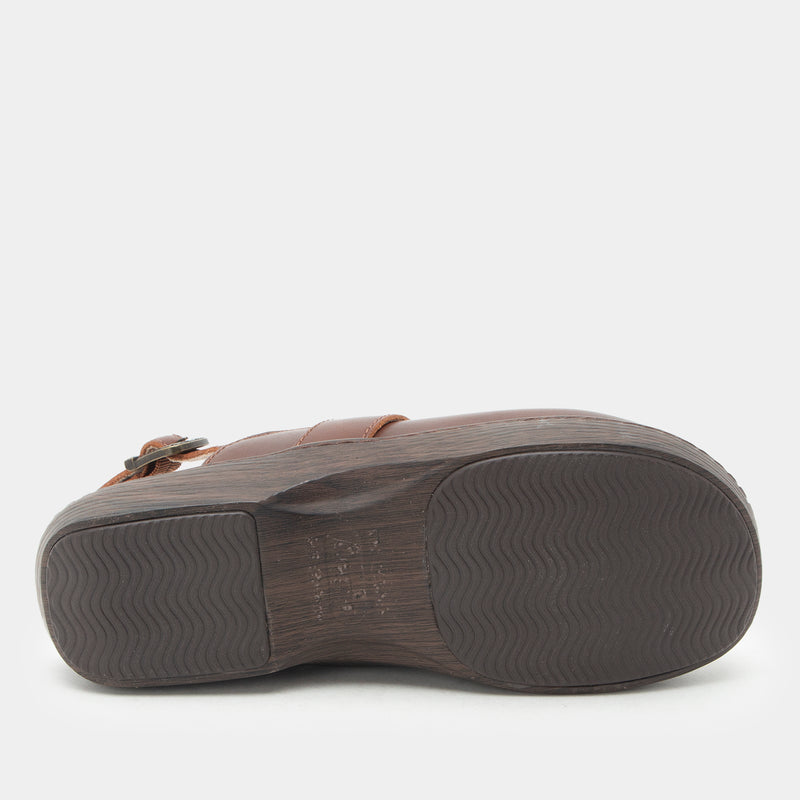 Olanna Chestnut Shoe
