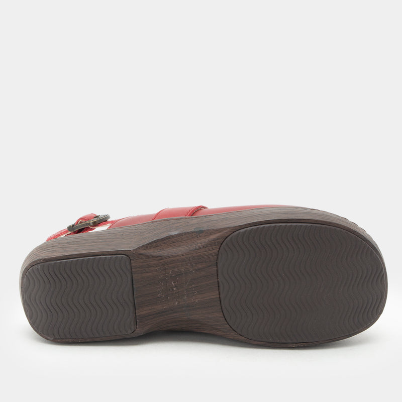 Olanna Crimson Shoe