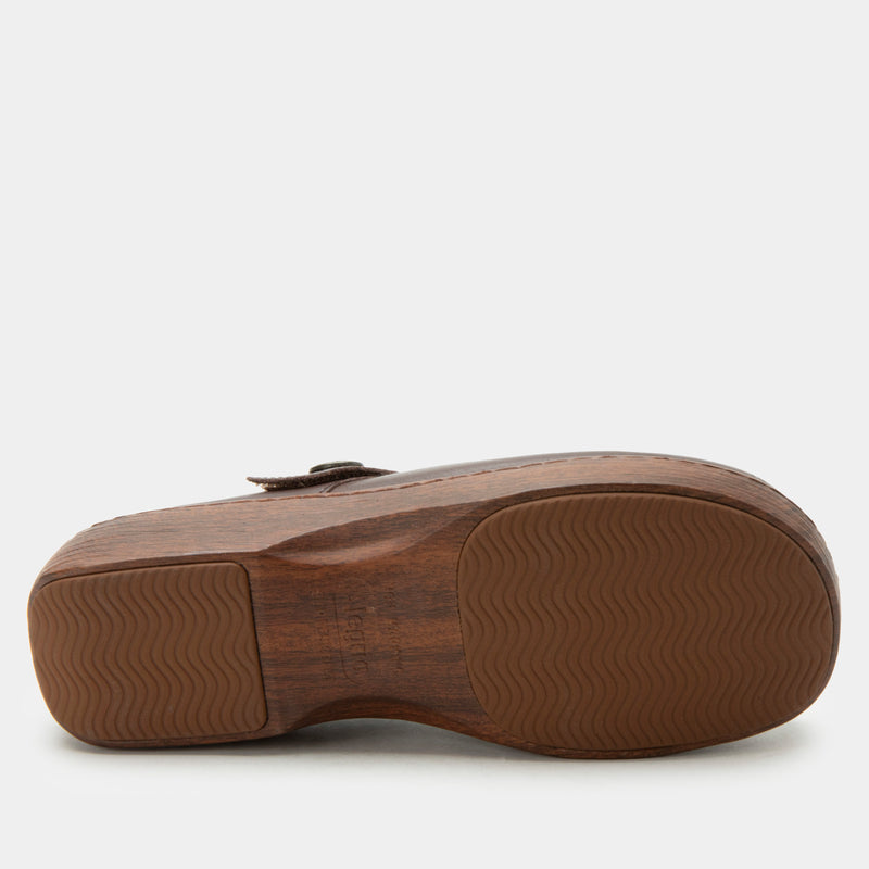 Onika Coffee Bean mary Jane shoe | Alegria Shoes