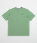 Patagonia Fitz Roy Icon Responsibili-Tee T-Shirt in Ellwood Green