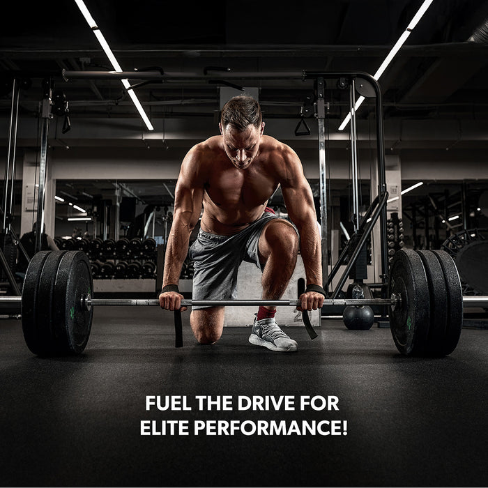 PERFORMANCE CREATINE