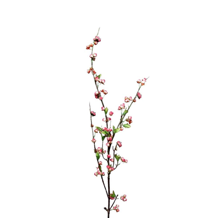 Pink Plum Blossom Branch