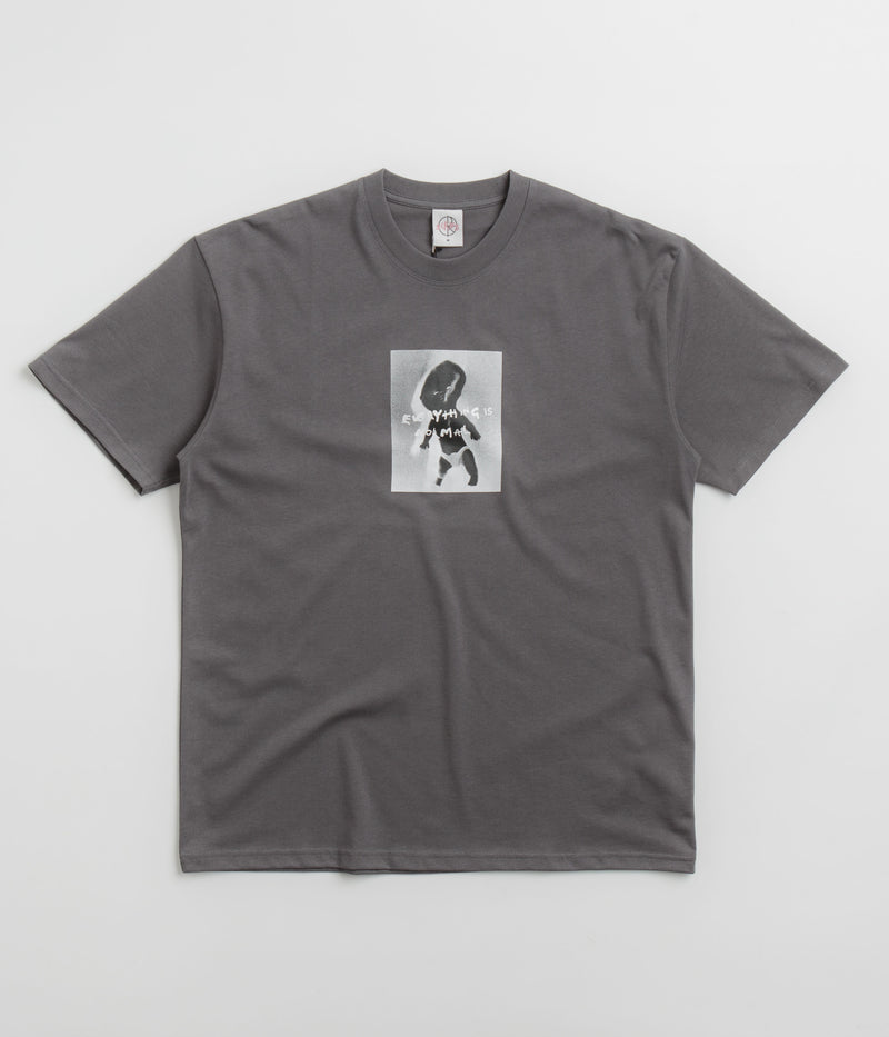 Polar Everything Is Normal T-Shirt in Graphite