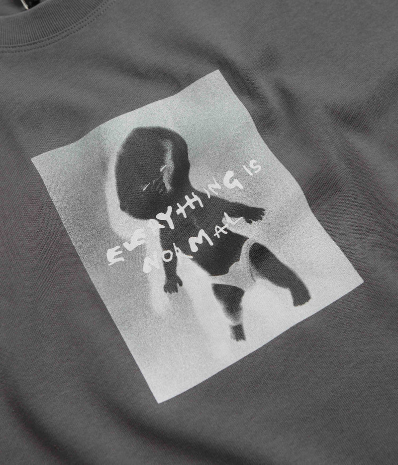 Polar Everything Is Normal T-Shirt in Graphite