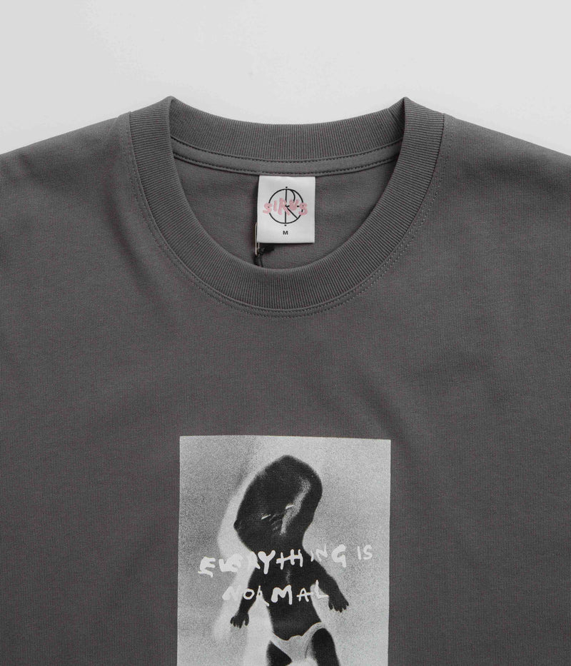 Polar Everything Is Normal T-Shirt in Graphite
