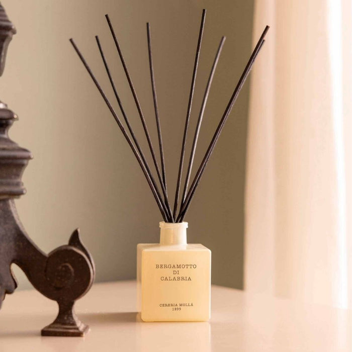 Reed Diffuser - 100ml