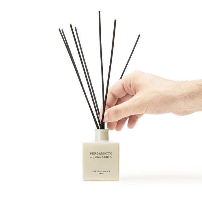 Reed Diffuser - 100ml