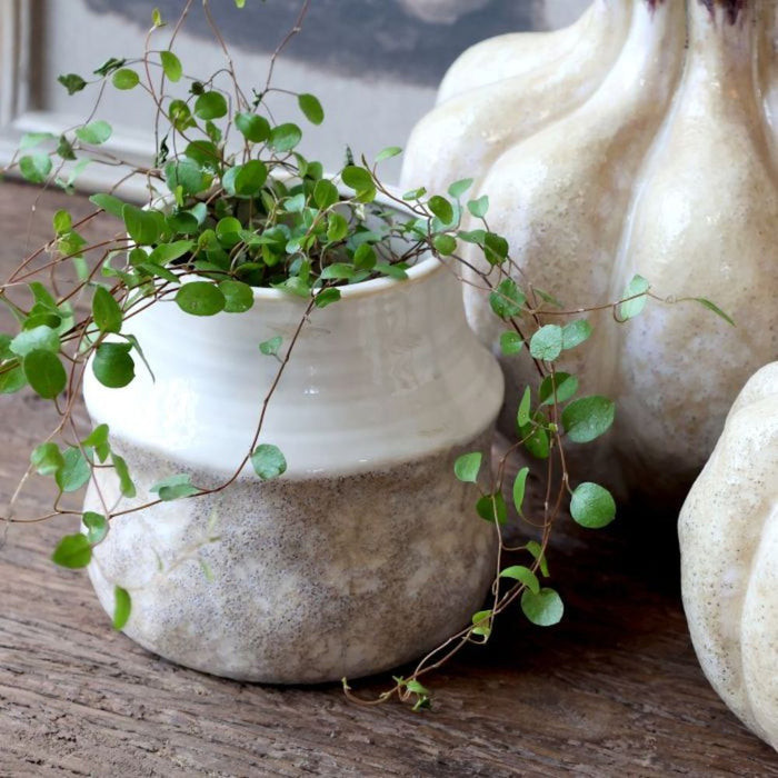 Rowan Planter