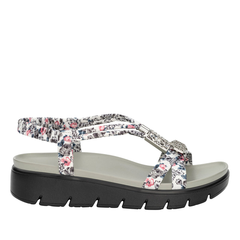 Roz Lovely Grey Sandal | Alegria Shoes