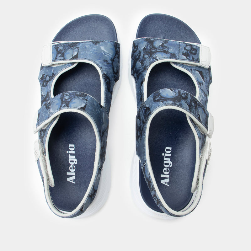Sandie Midnight Oddity Sandal | Alegria Shoes