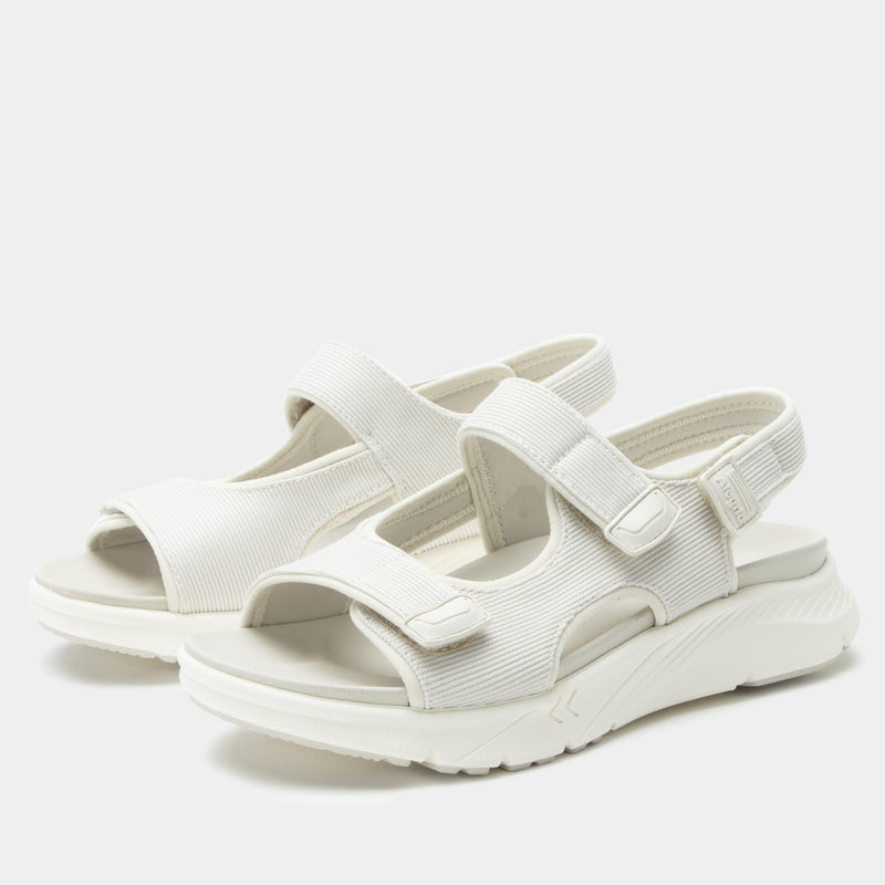 Sandie Shell Sandal | Alegria Shoes
