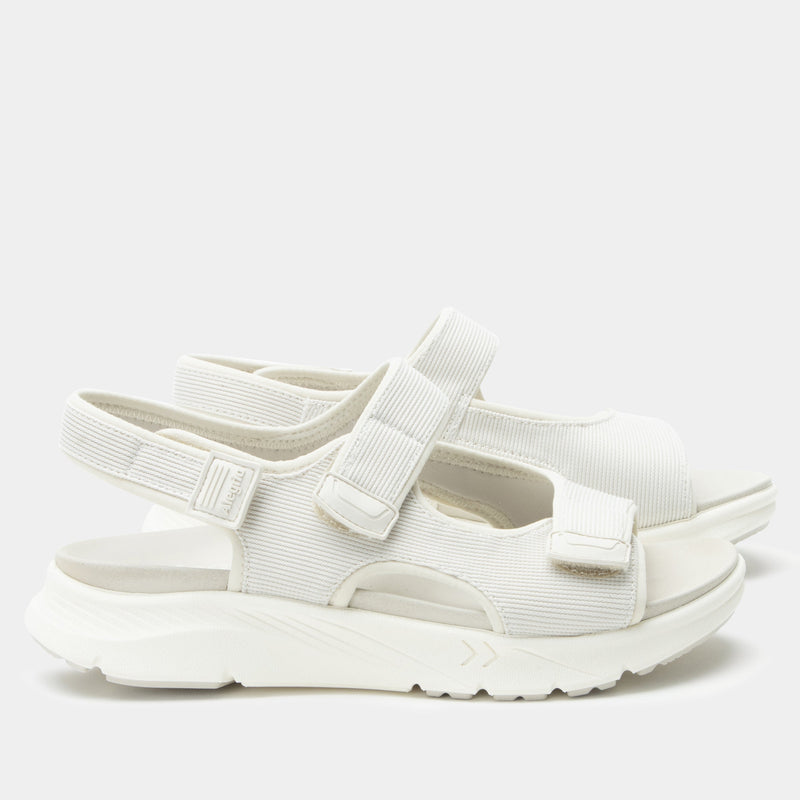 Sandie Shell Sandal | Alegria Shoes