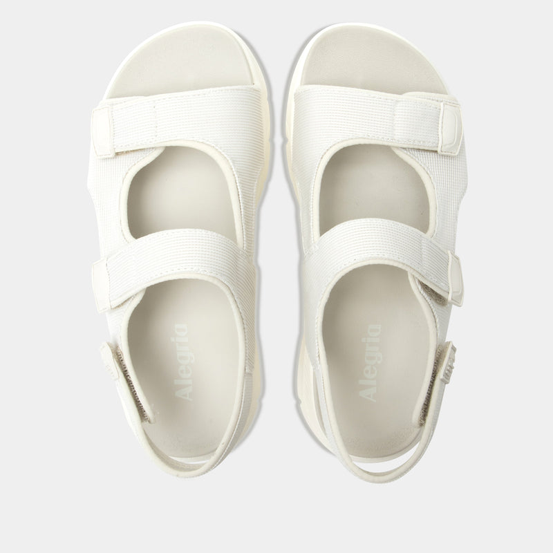 Sandie Shell Sandal | Alegria Shoes