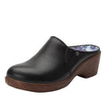 Sereniti Obsidian Shoe | Alegria Shoes