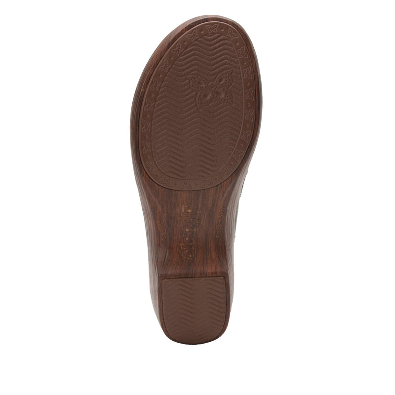 Sereniti Obsidian Shoe | Alegria Shoes