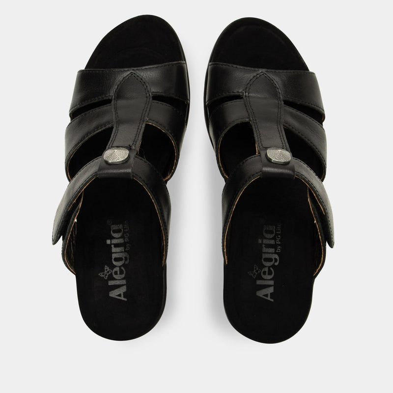 Shantal Ink Sandal | Alegria Shoes
