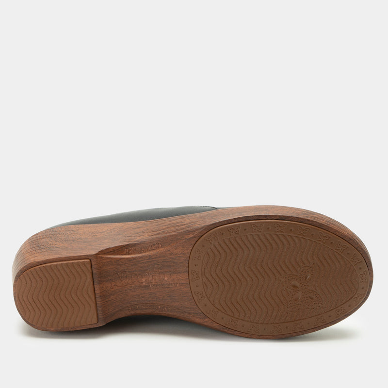 Skylar Coal Shoe | Alegria Shoes