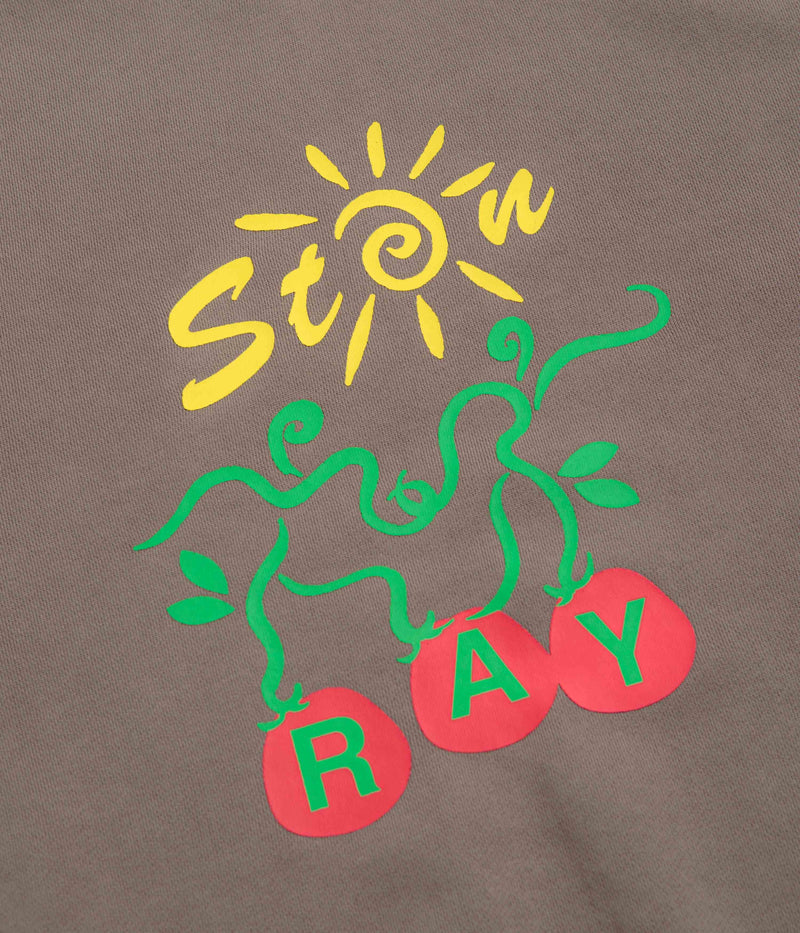 Stan Ray Ray Vine Crewneck Sweatshirt in Shale