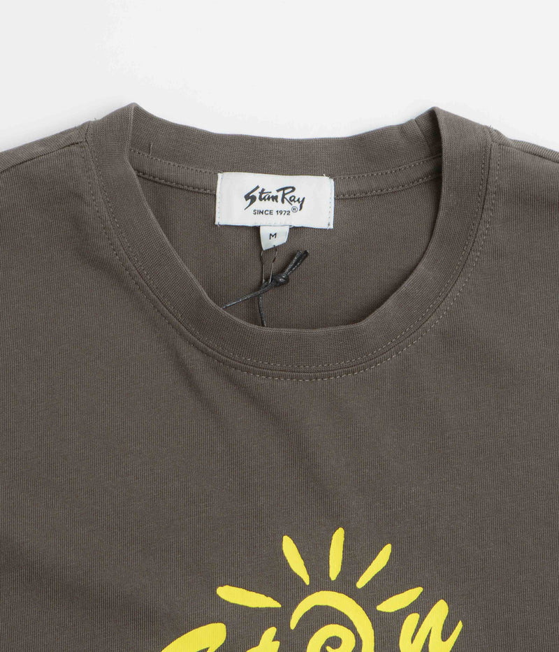 Stan Ray Ray Vine T-Shirt in Washed Black