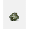 Succulent Napkin Rings Podfurniture