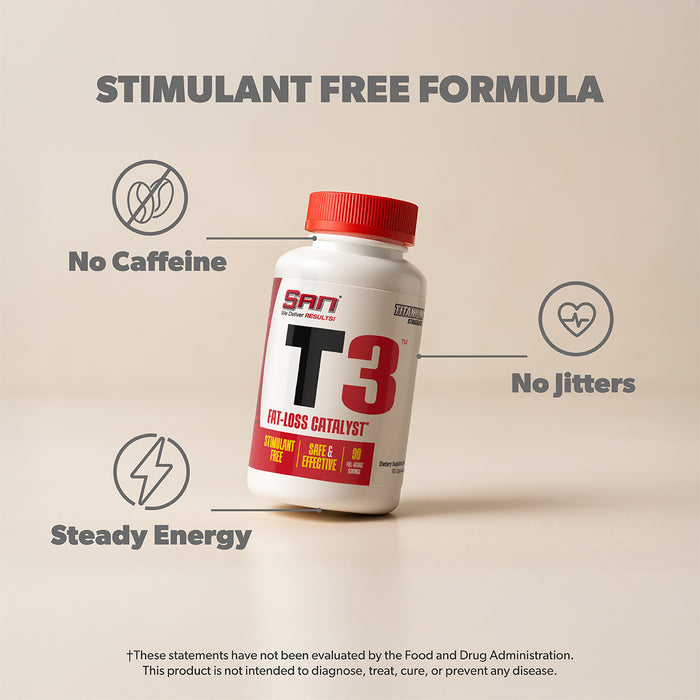 T3