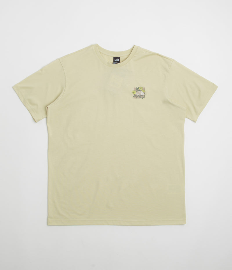 The North Face Connected Relaxed Graphic T-Shirt in Gravel