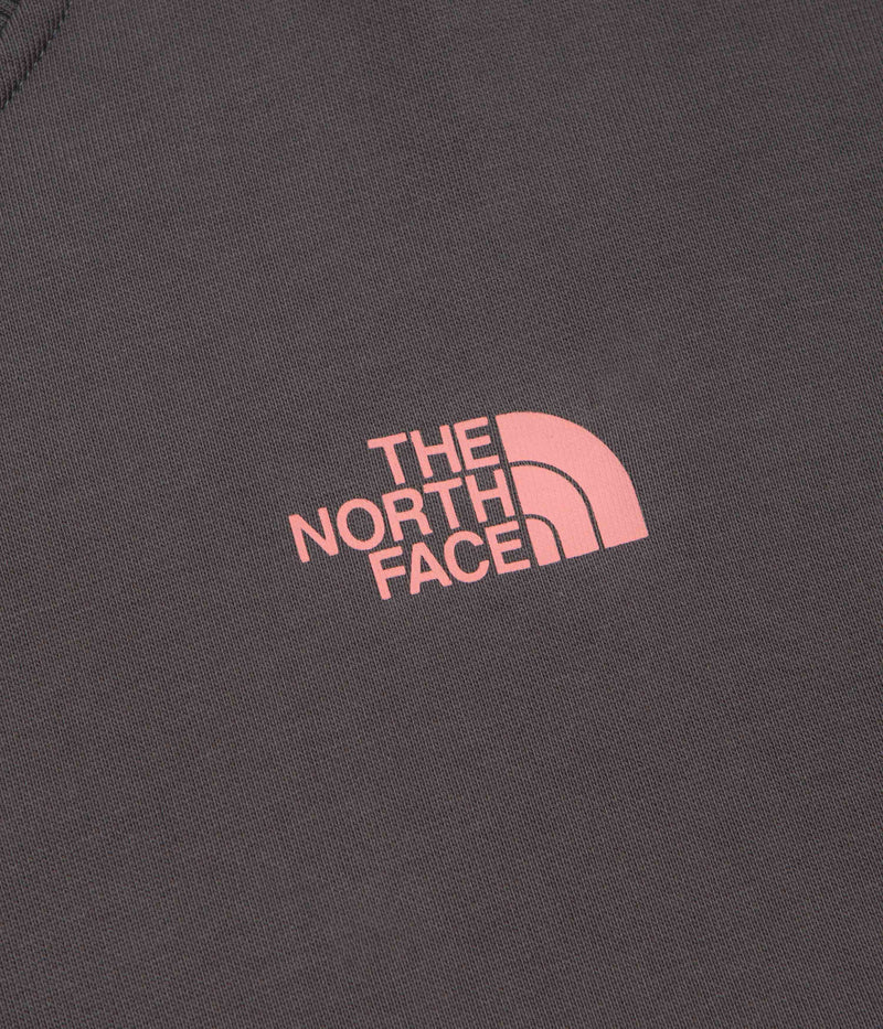 The North Face Expedition Celebration Oversized Crewneck Sweatshirt in Anthracite Grey